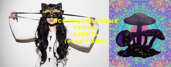 кокаин перу Каменка
