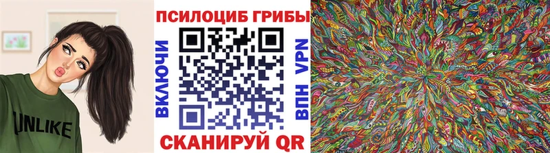 Псилоцибиновые грибы Psilocybine cubensis  Купить где  Балей 